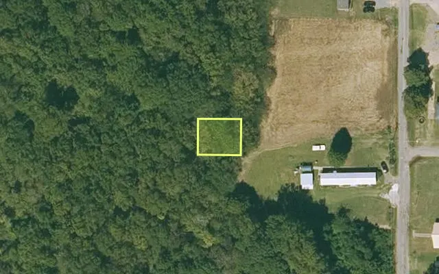 Aerial view of CHICOT County parcel 040-01001-000 — Arkansas post-auction with approximate parcel outline