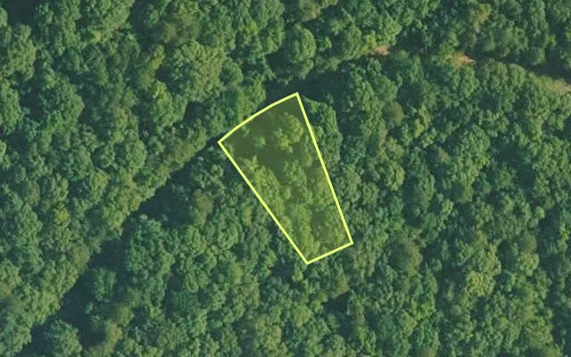 Aerial view of VAN BUREN County parcel 4400-07038-0000 — Arkansas post-auction with approximate parcel outline