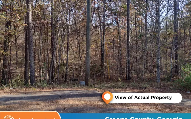 LandCentral listing preview for 0.93 acres in Greene, GA — 14925