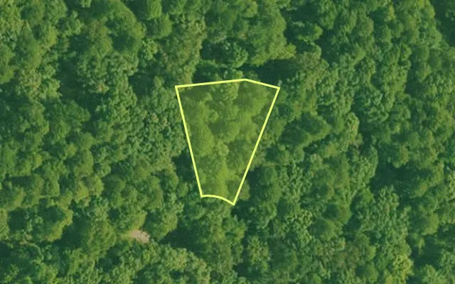 Aerial view of SALINE County parcel 456-00026-000 — Arkansas post-auction with approximate parcel outline