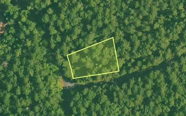 Aerial view of SALINE County parcel 380-00106-000 — Arkansas post-auction with approximate parcel outline