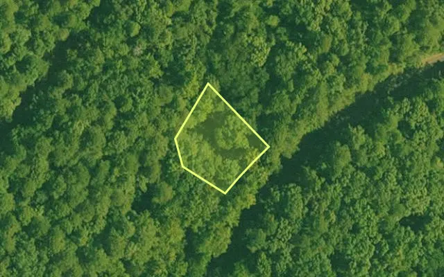Aerial view of GARLAND County parcel 71708 — Arkansas post-auction with approximate parcel outline