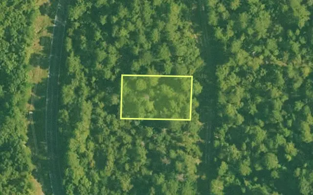 Aerial view of GARLAND County parcel 57560 — Arkansas post-auction with approximate parcel outline