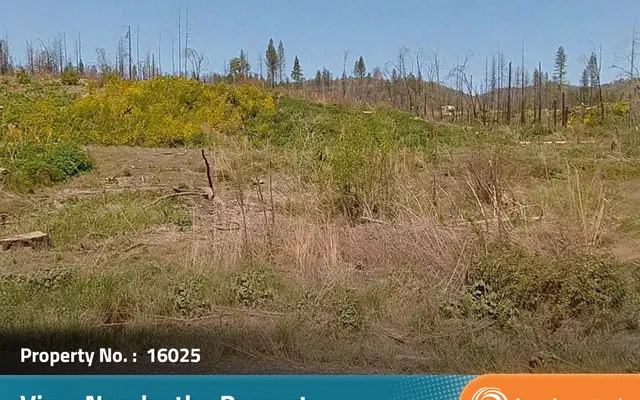 LandCentral listing preview for 0.29 acres in Butte, CA — 16025