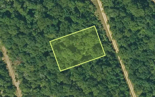 Aerial view of IZARD County parcel 800-07891-000 — Arkansas post-auction with approximate parcel outline