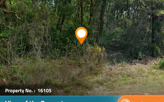 LandCentral listing preview for 0.42 acres in Citrus, FL — 16105