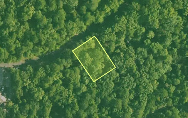Aerial view of SALINE County parcel 768-00130-000 — Arkansas post-auction with approximate parcel outline