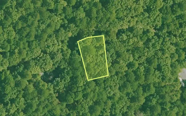 Aerial view of GARLAND County parcel 74819 — Arkansas post-auction with approximate parcel outline