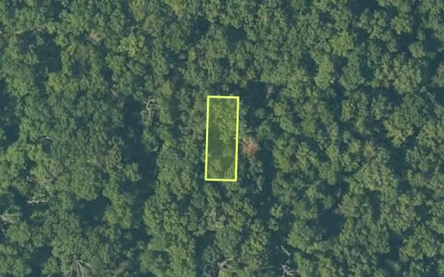 Aerial view of SHARP County parcel 546-00259-000 — Arkansas post-auction with approximate parcel outline
