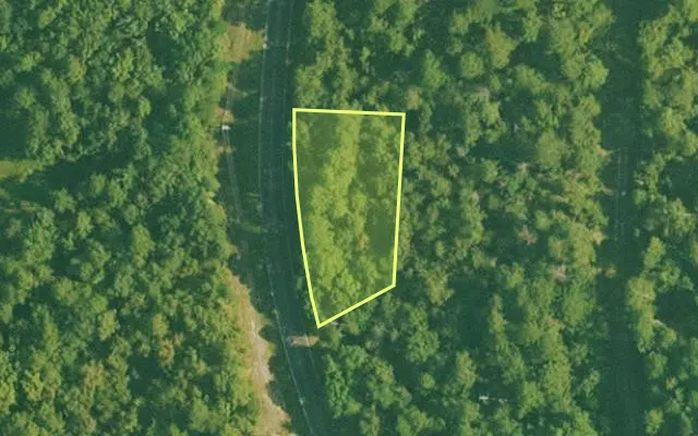 Aerial view of GARLAND County parcel 57554 — Arkansas post-auction with approximate parcel outline