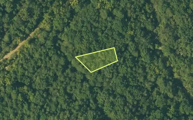 Aerial view of FULTON County parcel 110-10541-000 — Arkansas post-auction with approximate parcel outline