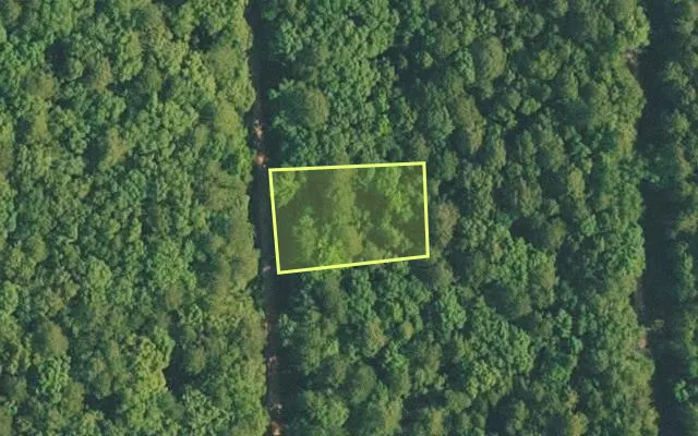 Aerial view of VAN BUREN County parcel 4400-12005-0000 — Arkansas post-auction with approximate parcel outline
