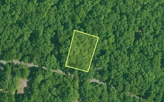 Aerial view of GARLAND County parcel 66156 — Arkansas post-auction with approximate parcel outline