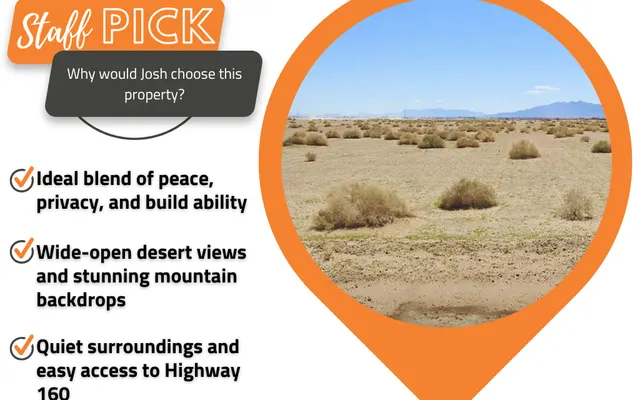 LandCentral listing preview for 0.24 acres in Nye, NV — 15946