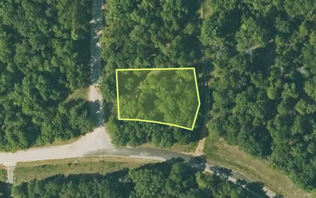 Aerial view of FULTON County parcel 290-17225-000 — Arkansas post-auction with approximate parcel outline