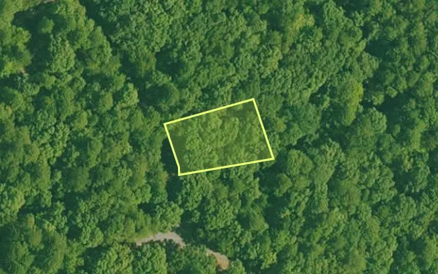 Aerial view of GARLAND County parcel 60009 — Arkansas post-auction with approximate parcel outline