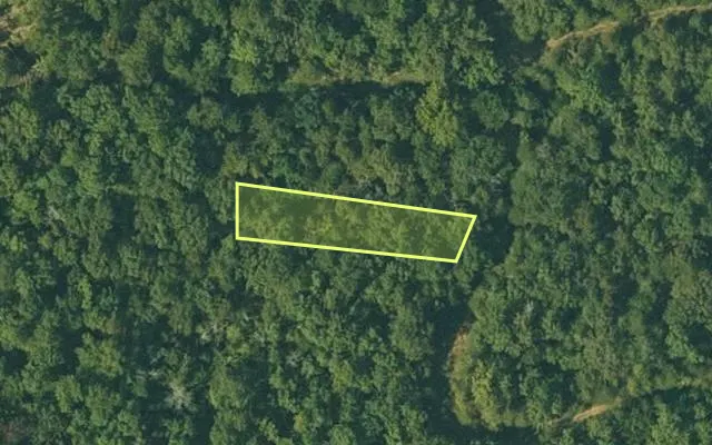 Aerial view of FULTON County parcel 105-10069-000 — Arkansas post-auction with approximate parcel outline