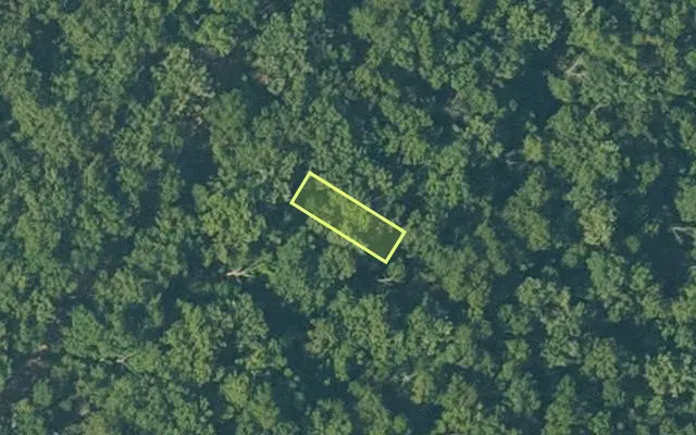 Aerial view of SHARP County parcel 760-53499-132 — Arkansas post-auction with approximate parcel outline