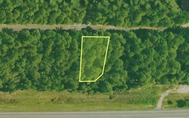 Aerial view of SALINE County parcel 704-00001-000 — Arkansas post-auction with approximate parcel outline