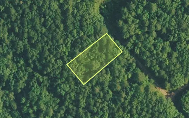 Aerial view of VAN BUREN County parcel 4400-12124-0000 — Arkansas post-auction with approximate parcel outline