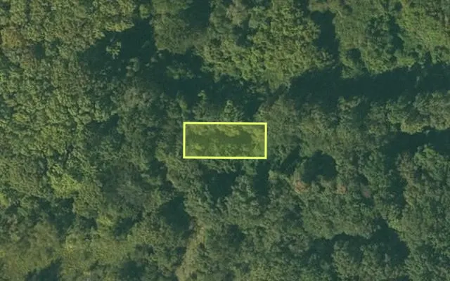 Aerial view of CHICOT County parcel 050-04031-000 — Arkansas post-auction with approximate parcel outline