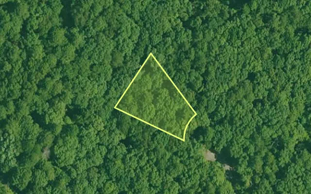 Aerial view of GARLAND County parcel 60511 — Arkansas post-auction with approximate parcel outline