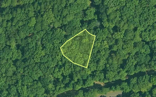 Aerial view of GARLAND County parcel 72769 — Arkansas post-auction with approximate parcel outline