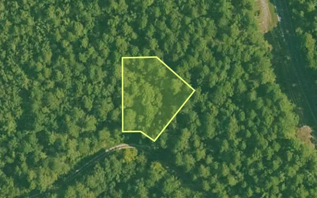 Aerial view of GARLAND County parcel 57036 — Arkansas post-auction with approximate parcel outline