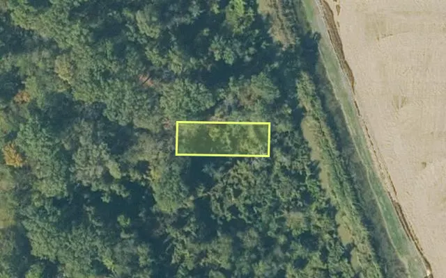 Aerial view of MONROE County parcel 1104-00885-000 — Arkansas post-auction with approximate parcel outline