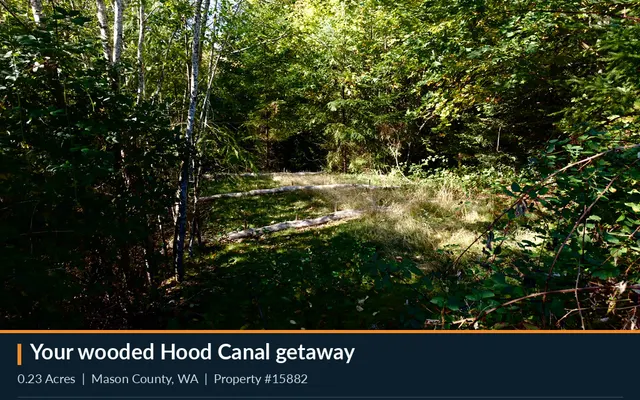 LandCentral listing preview for 0.23 acres in Mason, WA — 15882