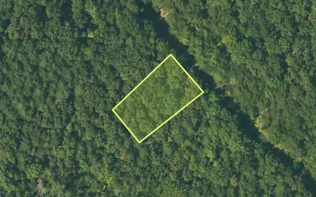 Aerial view of FULTON County parcel 335-18619-000 — Arkansas post-auction with approximate parcel outline