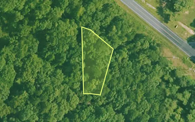 Aerial view of SALINE County parcel 688-00056-000 — Arkansas post-auction with approximate parcel outline