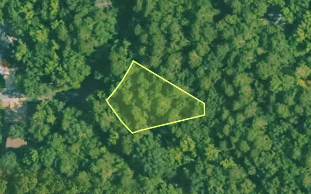 Aerial view of SALINE County parcel 772-00081-000 — Arkansas post-auction with approximate parcel outline