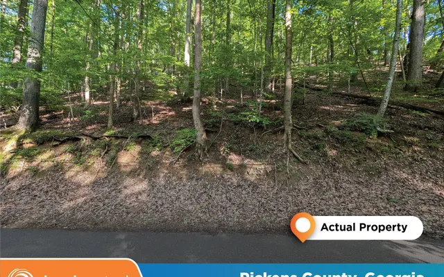 LandCentral listing preview for 0.37 acres in Pickens, GA — 14991