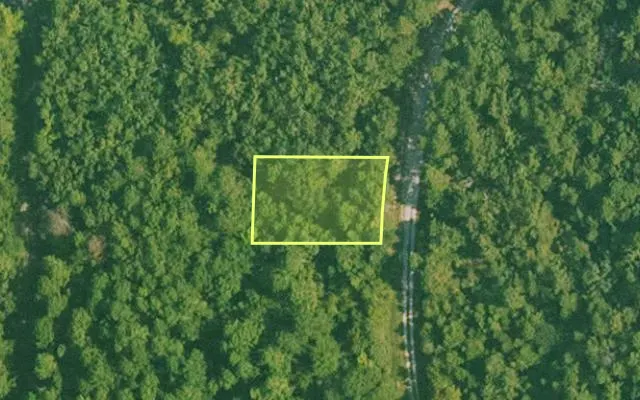 Aerial view of SALINE County parcel 776-00043-000 — Arkansas post-auction with approximate parcel outline