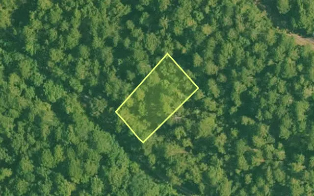 Aerial view of SALINE County parcel 496-00060-000 — Arkansas post-auction with approximate parcel outline