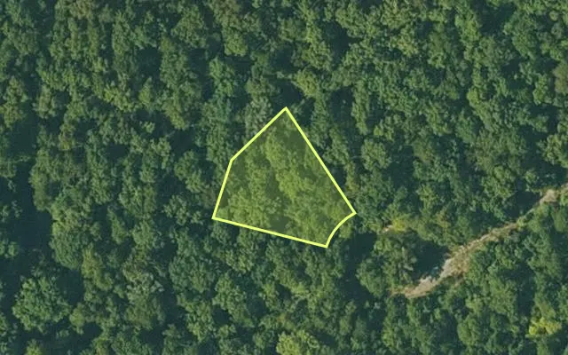 Aerial view of FULTON County parcel 225-14497-000 — Arkansas post-auction with approximate parcel outline
