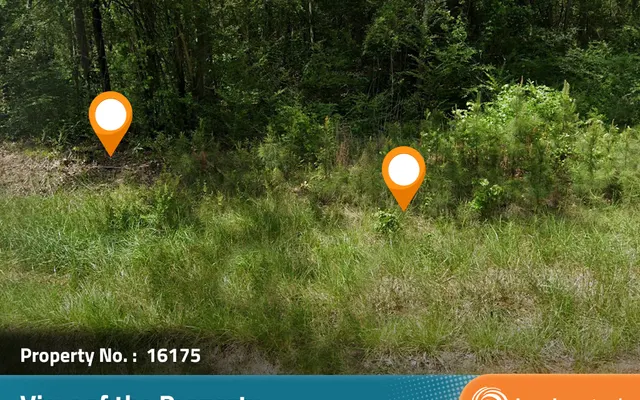 LandCentral listing preview for 0.71 acres in Jefferson, AL — 16175