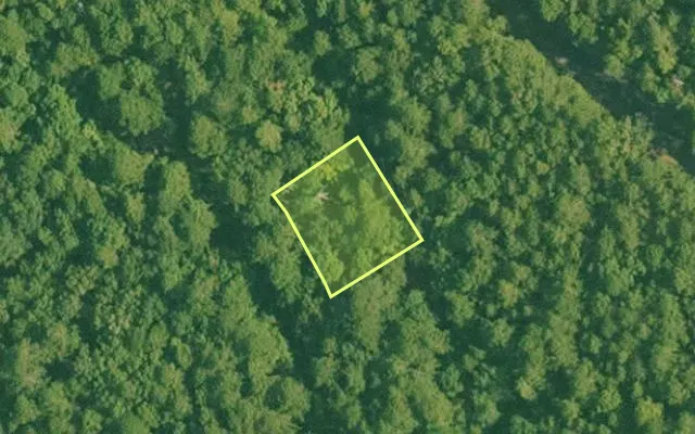 Aerial view of SALINE County parcel 496-00170-000 — Arkansas post-auction with approximate parcel outline