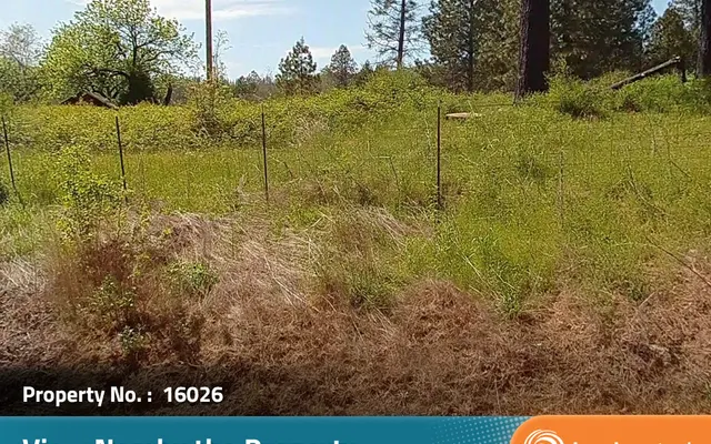 LandCentral listing preview for 0.96 acres in Butte, CA — 16026