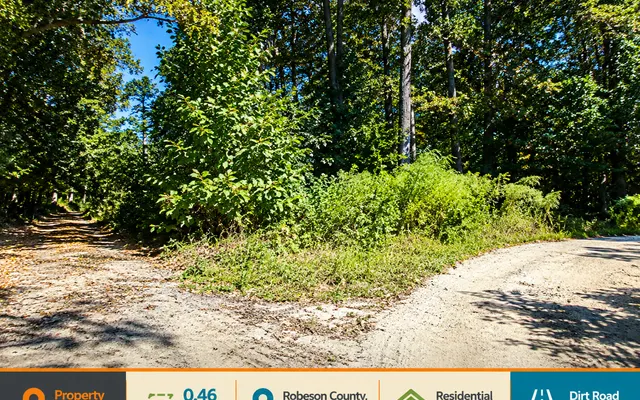LandCentral listing preview for 0.46 acres in Robeson, NC — 16075
