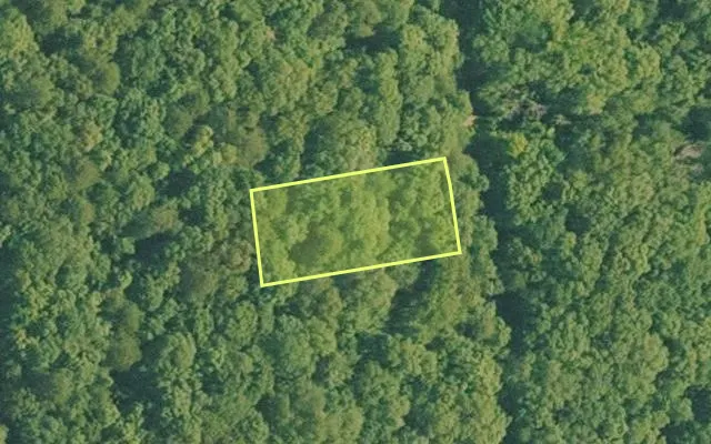 Aerial view of VAN BUREN County parcel 4050-09005-0000 — Arkansas post-auction with approximate parcel outline