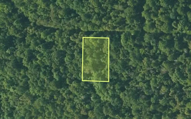 Aerial view of FULTON County parcel 365-20049-000 — Arkansas post-auction with approximate parcel outline