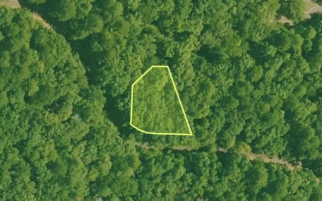 Aerial view of SALINE County parcel 640-00009-000 — Arkansas post-auction with approximate parcel outline