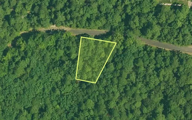 Aerial view of GARLAND County parcel 65006 — Arkansas post-auction with approximate parcel outline