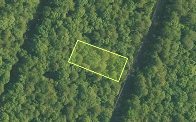 Aerial view of VAN BUREN County parcel 4050-10024-0000 — Arkansas post-auction with approximate parcel outline