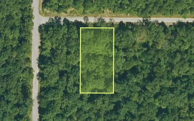 Aerial view of IZARD County parcel 800-03103-000 — Arkansas post-auction with approximate parcel outline