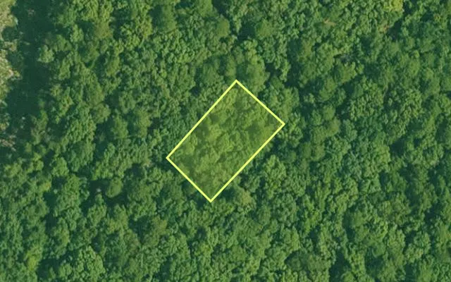 Aerial view of GARLAND County parcel 73854 — Arkansas post-auction with approximate parcel outline
