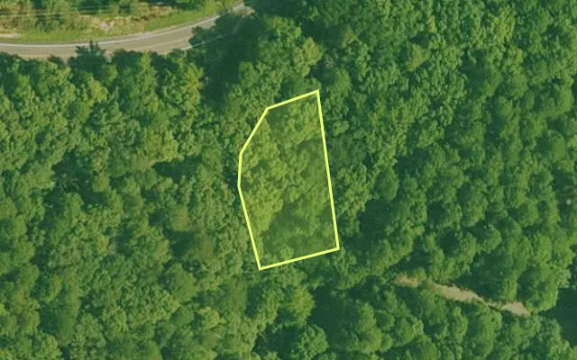 Aerial view of GARLAND County parcel 68318 — Arkansas post-auction with approximate parcel outline