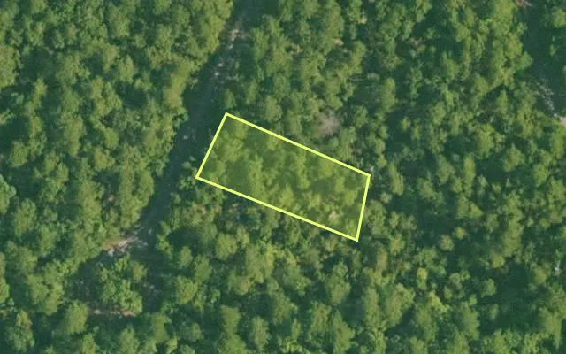 Aerial view of SALINE County parcel 736-00004-000 — Arkansas post-auction with approximate parcel outline